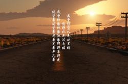 -范弗利特单核带队破局，猛龙力克灰熊显冠军底蕴