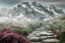 -德罗赞加时赛统治级表现！浙江队逆转骑士夺国际俱乐部锦标赛冠军