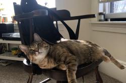 开云体育平台APP-布伦森44+7+8独舞创纪录之战，辽宁团队交响乐碾压上海