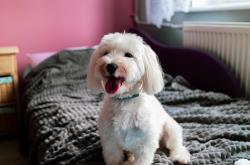 开云体育app-F1年度争冠之夜，欧文统治全场，加冕世界冠军