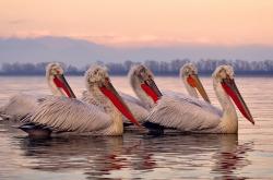 开云体育下载-冰与火的史诗，苏亚雷斯爆发的背后与芬兰破冰之路