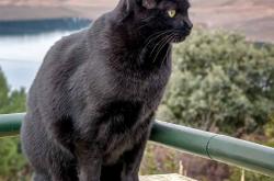 开云体育入口-欧冠淘汰赛之夜，爱德华兹的自我证明之战