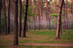 开云下载-广厦队对阵活塞，伦纳德刷新纪录之夜，篮球世界的跨界盛宴