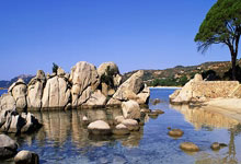 开云体育登录-黑马强势崛起，力擒劲旅领先群雄