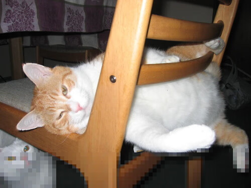 布克斩落灰熊,一记冷血绝杀与开拓者的救赎之路