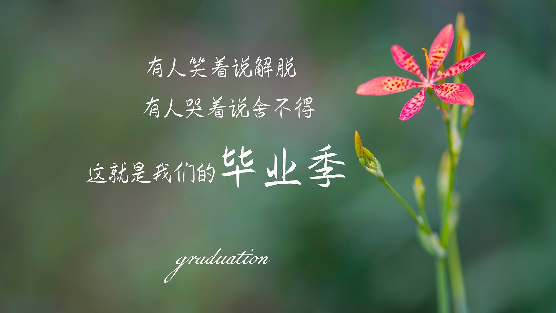 舞台越大越强，尼日利亚终结奥地利的启示与迪巴拉的巨星本色