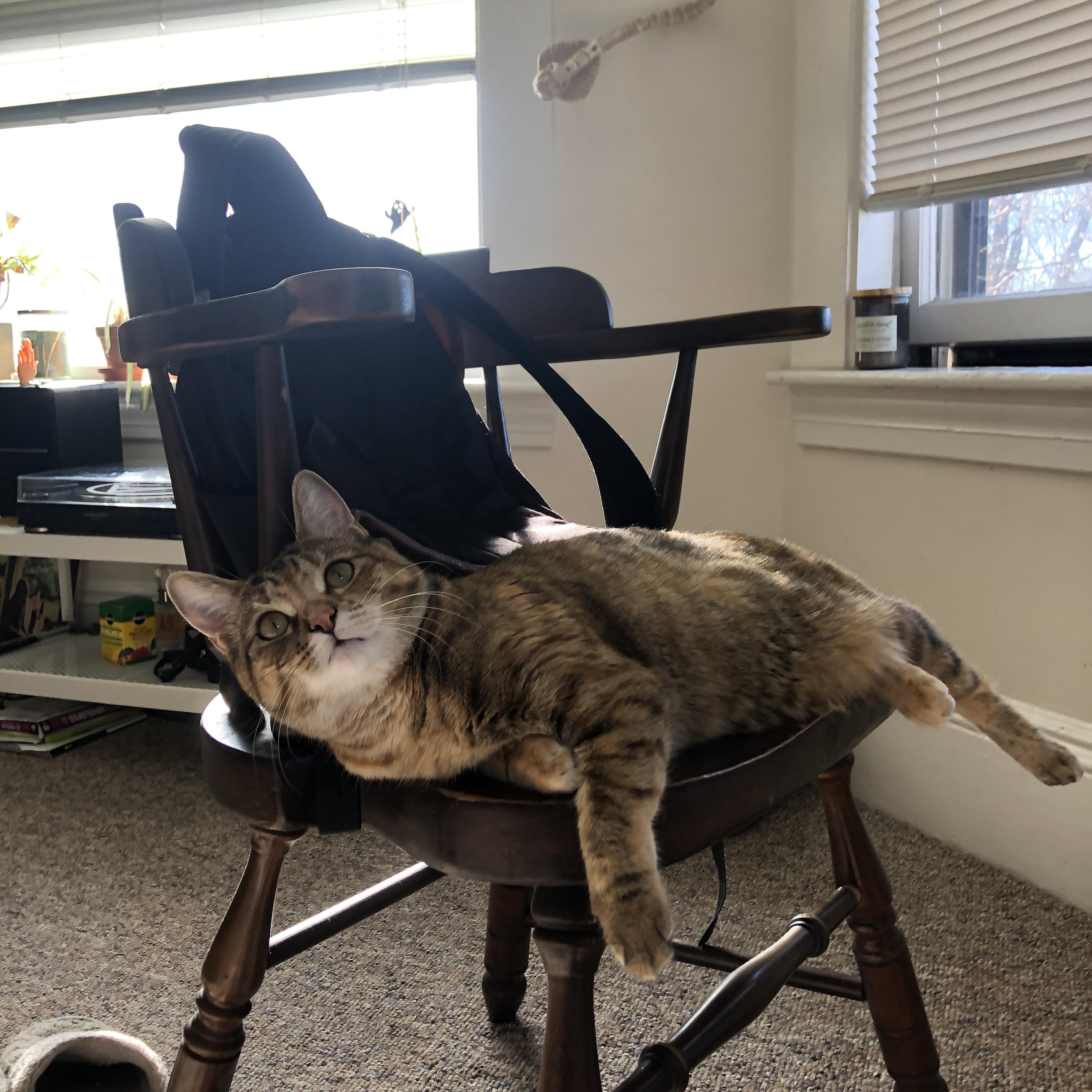 布伦森44+7+8独舞创纪录之战，辽宁团队交响乐碾压上海