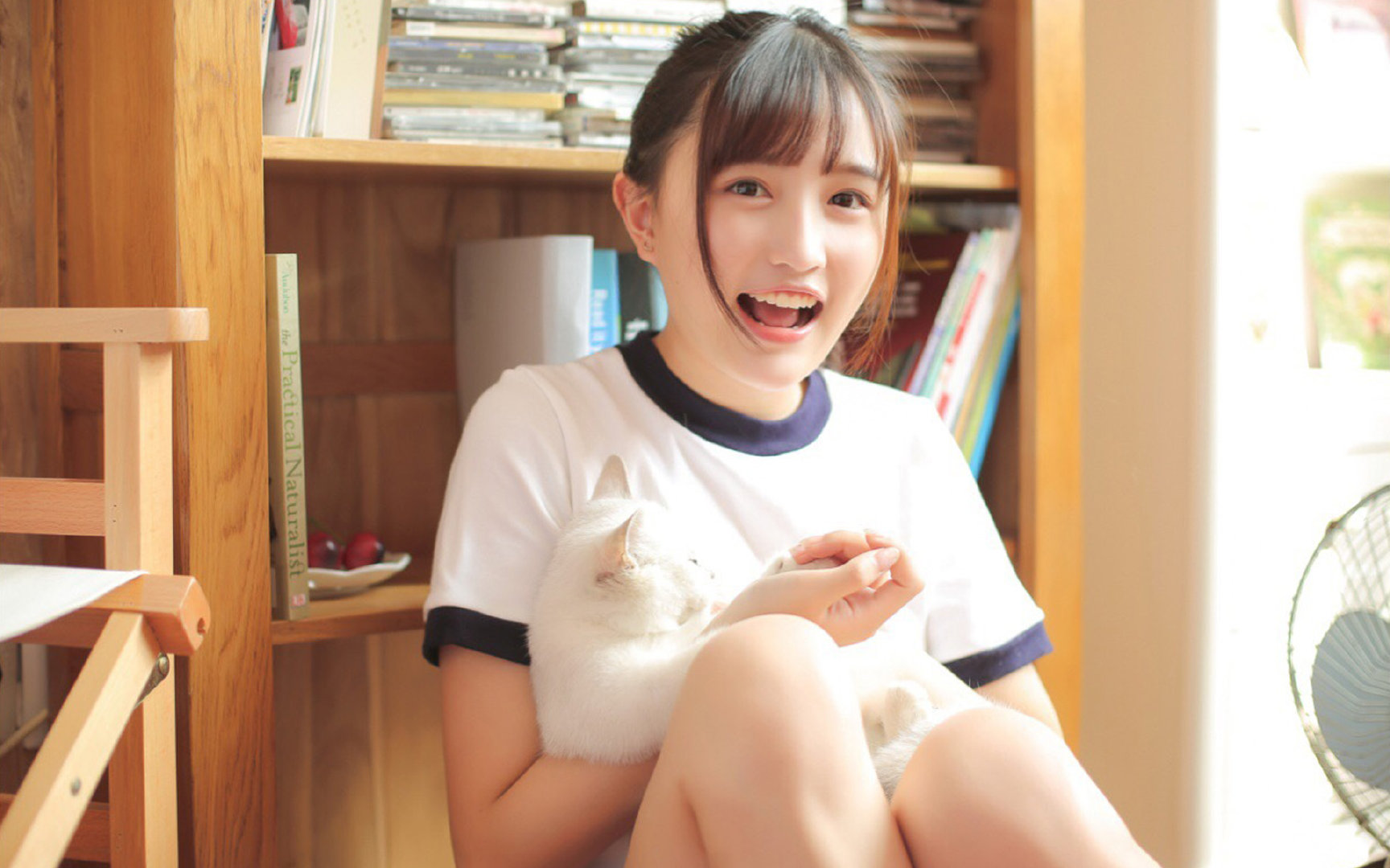 历史性横扫！步行者总决赛4-0碾压快船，平民军团颠覆NBA王朝逻辑