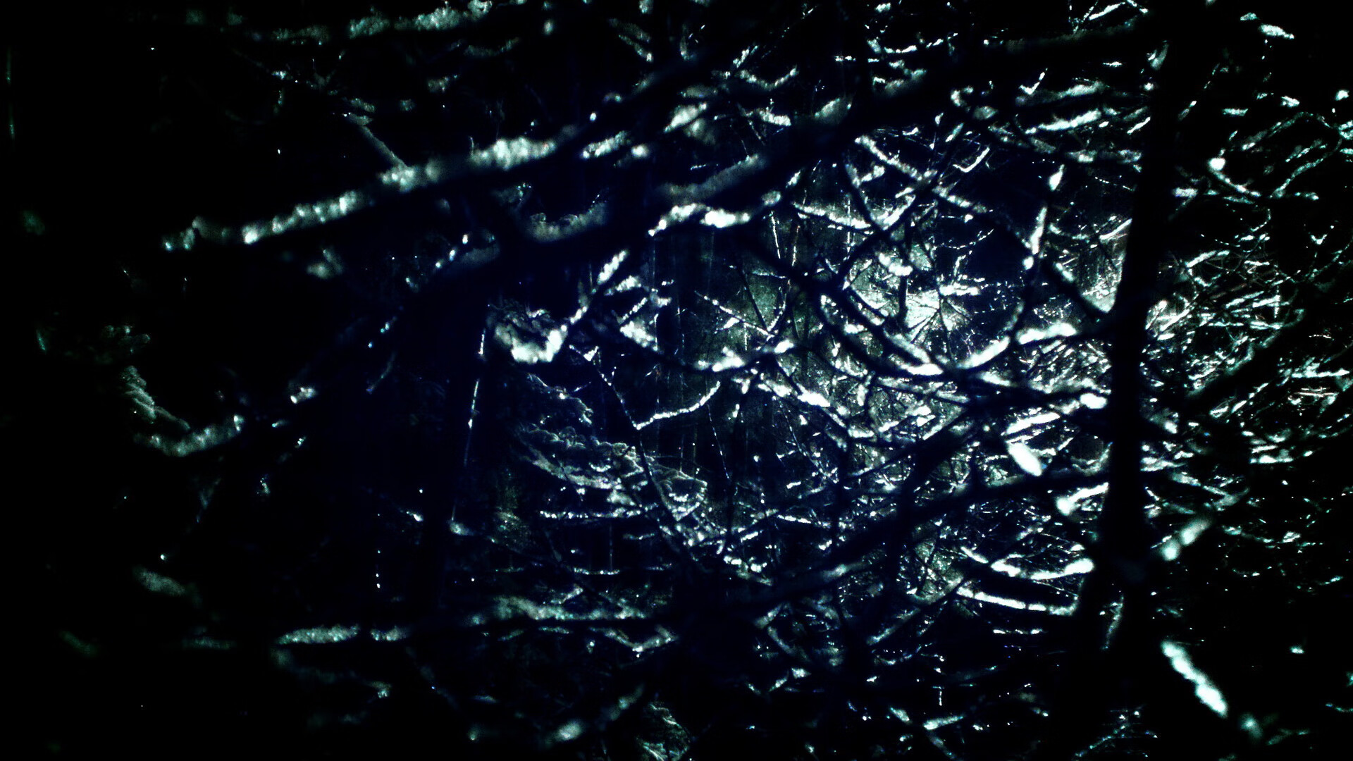 铁翼横空横扫,獭兔惊雷裂天,当塔图姆的鹰翅掠过广厦苍穹