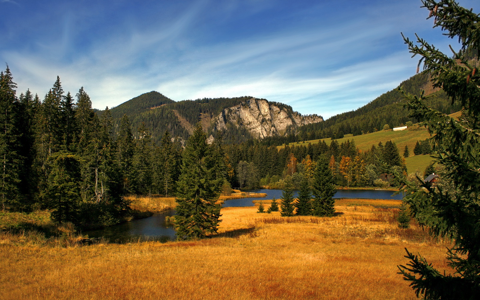 篮球基因在绿茵场，当恩比德在英超争冠战中接管比赛