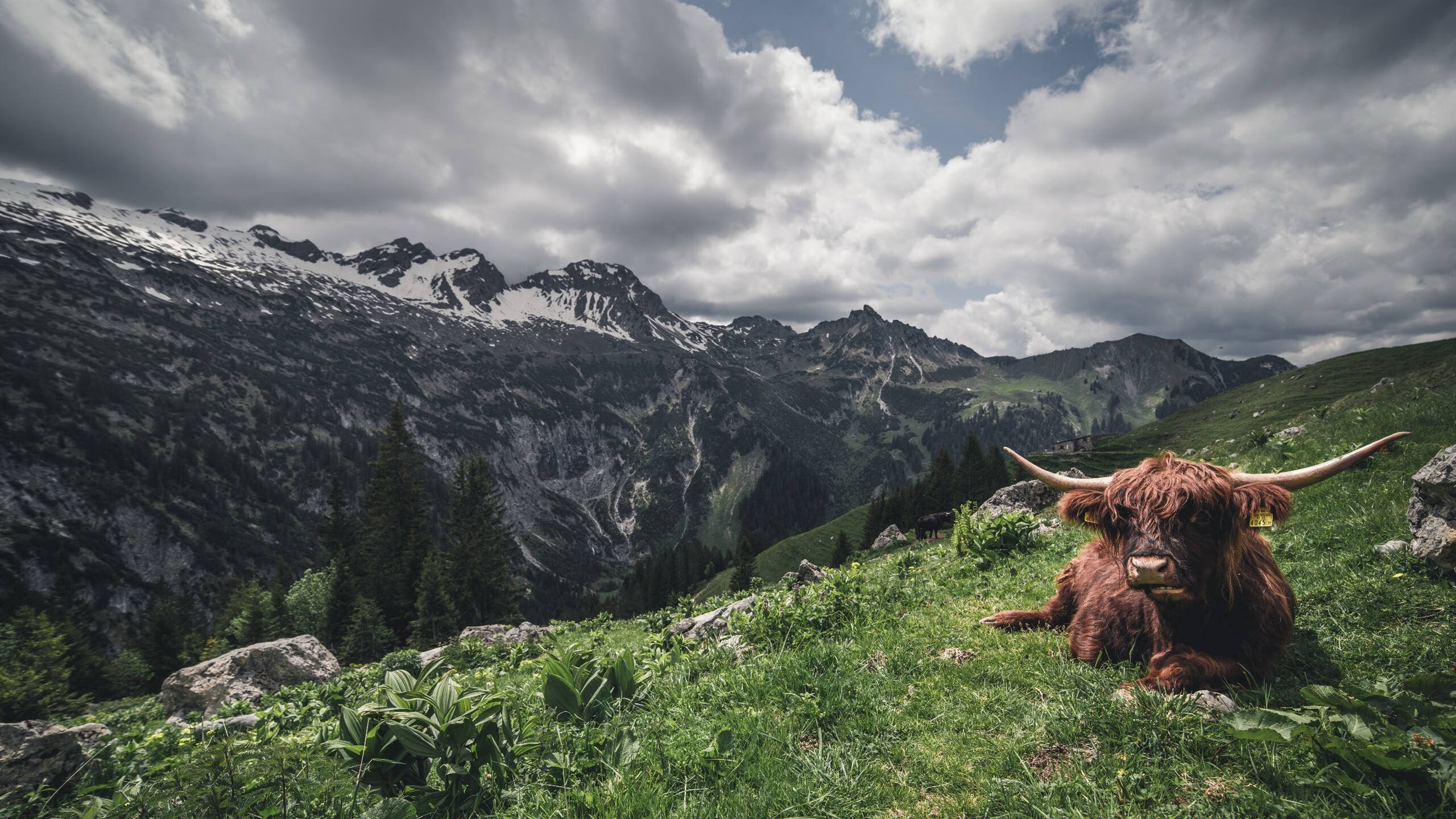 力斩摩纳哥，马竞新王牌阿尔瓦雷斯完成价值证明