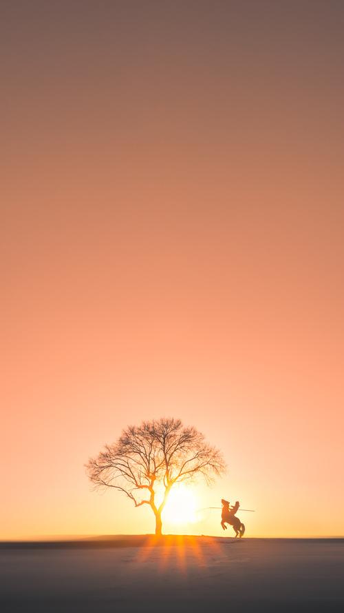 东决关键战之夜,字母哥如何化身交响乐指挥家