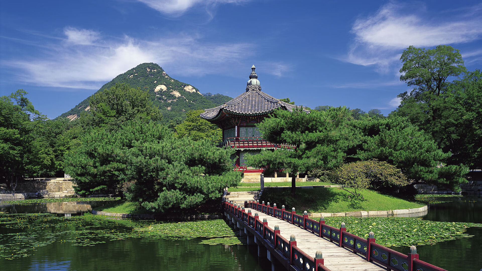 季后赛抢七焦点战，比利时强势击溃土耳其，晋级之路一片光明