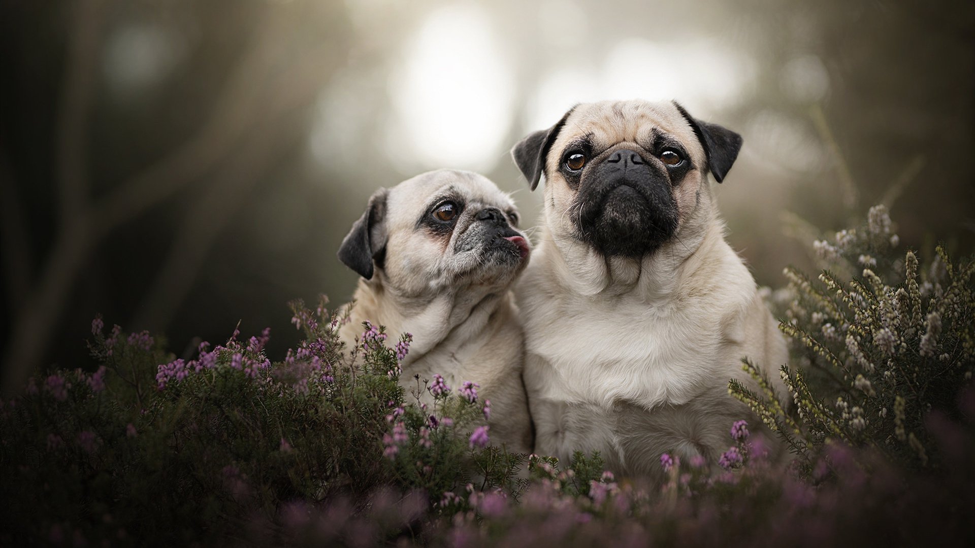 比爆冷更寒冷的，是个人英雄主义的黄昏