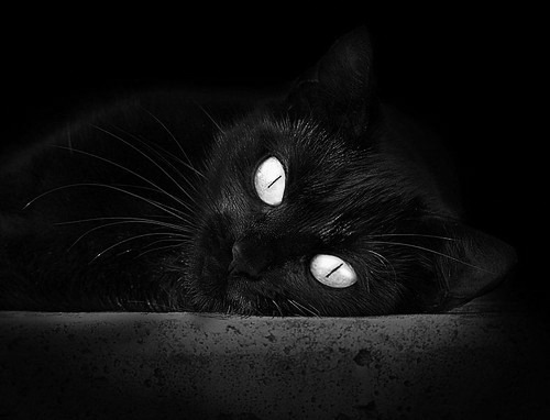 双线辉煌，西甲国家德比焦点战与独行侠拿下热火的体育交响曲