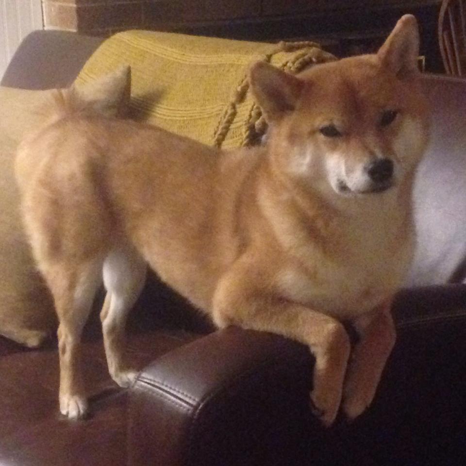 绿茵寓言，贝蒂斯的险胜与阿什拉夫的加冕—足球如何书写它的答案