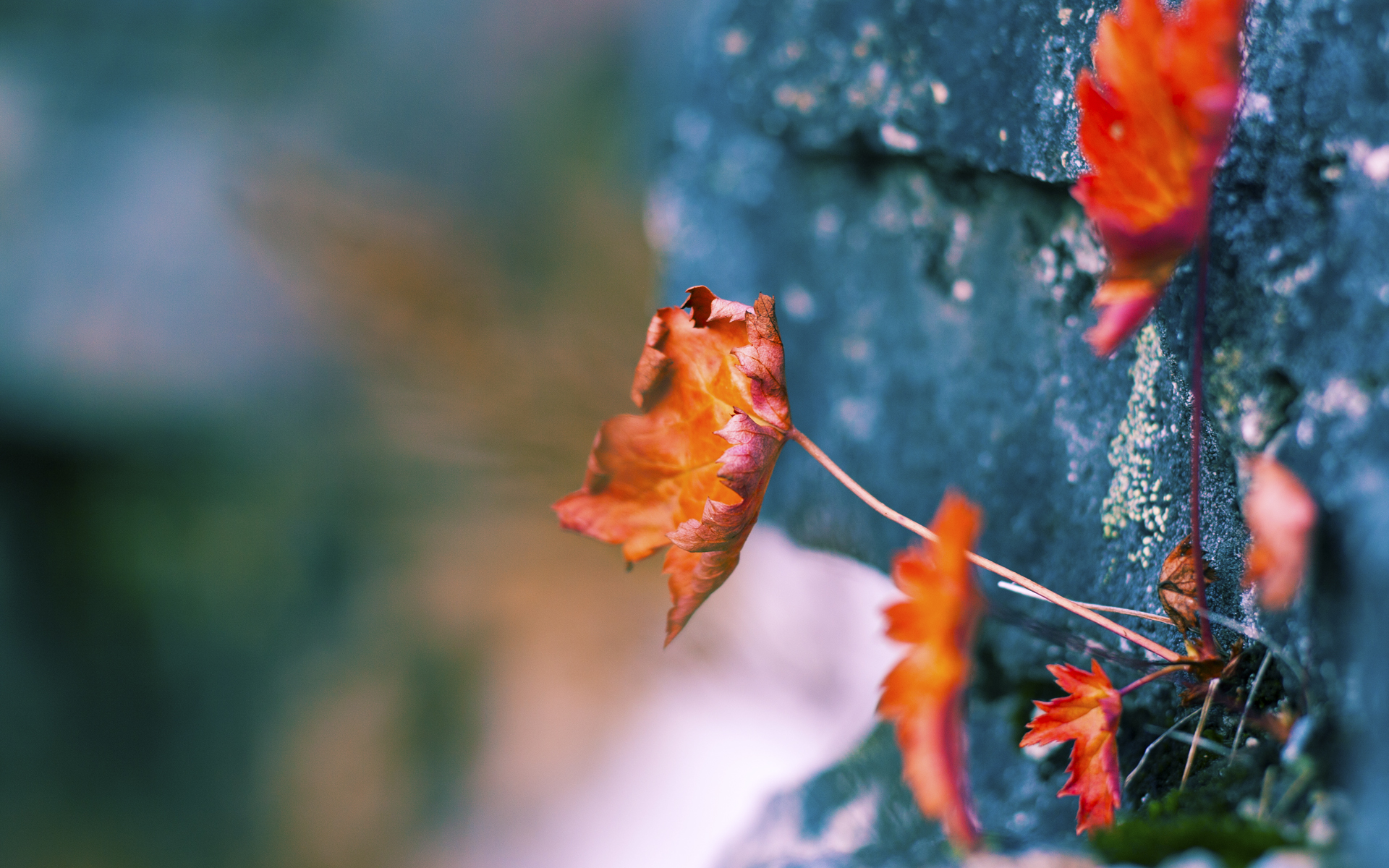 沉默的胜负手,欧冠决赛之夜,布雷默的致命一击
