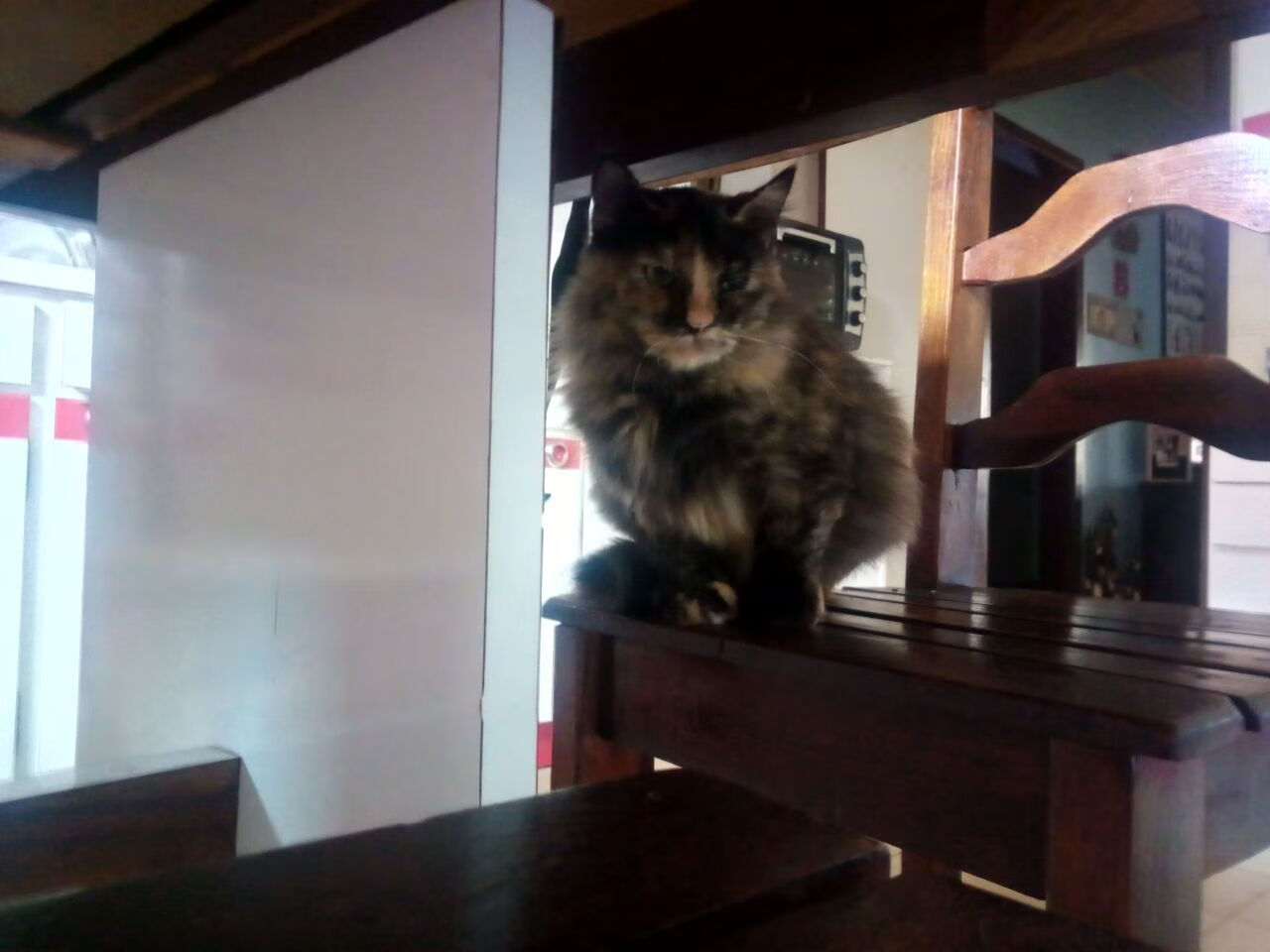 东决关键战之夜，姆巴佩，硬仗之王的加冕礼