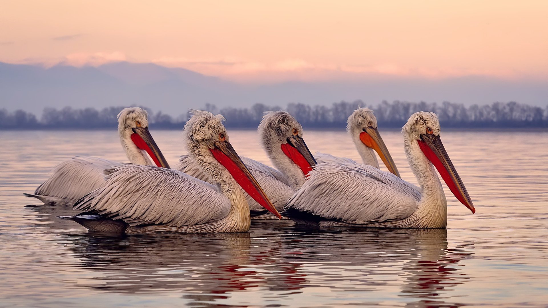 罗德里戈完美发挥引领埃及战胜芬兰，一场足球盛宴的华丽篇章