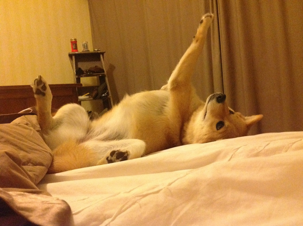 东决关键战之夜，约基奇，舞台越大越强