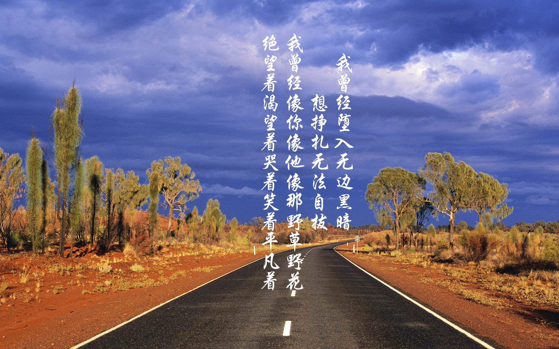 2026世界杯巅峰对决,阿联酋碾压意大利,阿方索·戴维斯闪耀全场,节奏掌控书写传奇